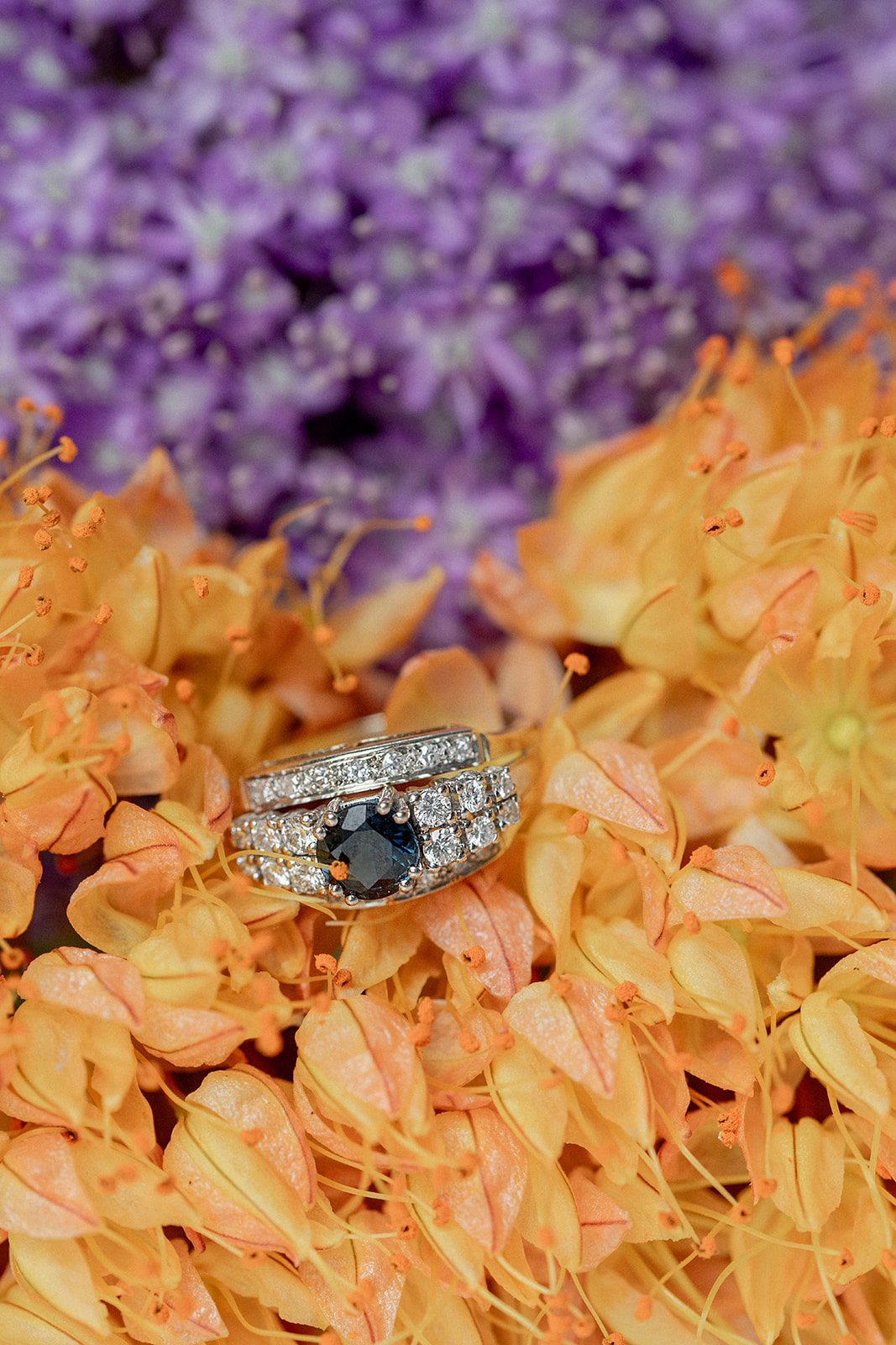 SELECCION MARZO GO ANTIQUES