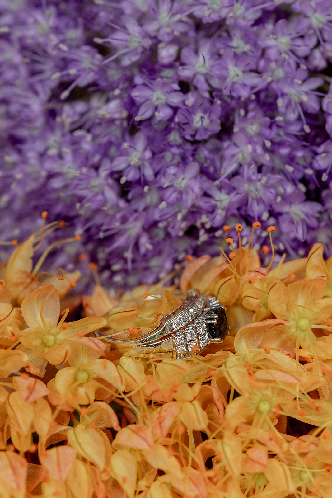 SELECCION MARZO GO ANTIQUES