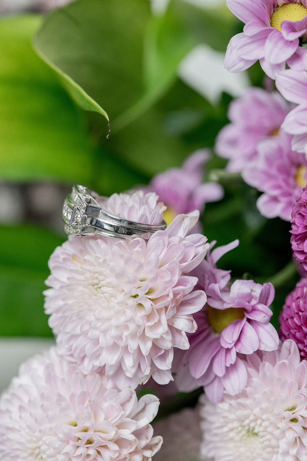 SELECCION MARZO GO ANTIQUES