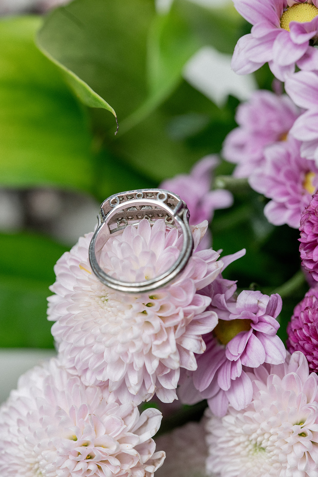 SELECCION MARZO GO ANTIQUES