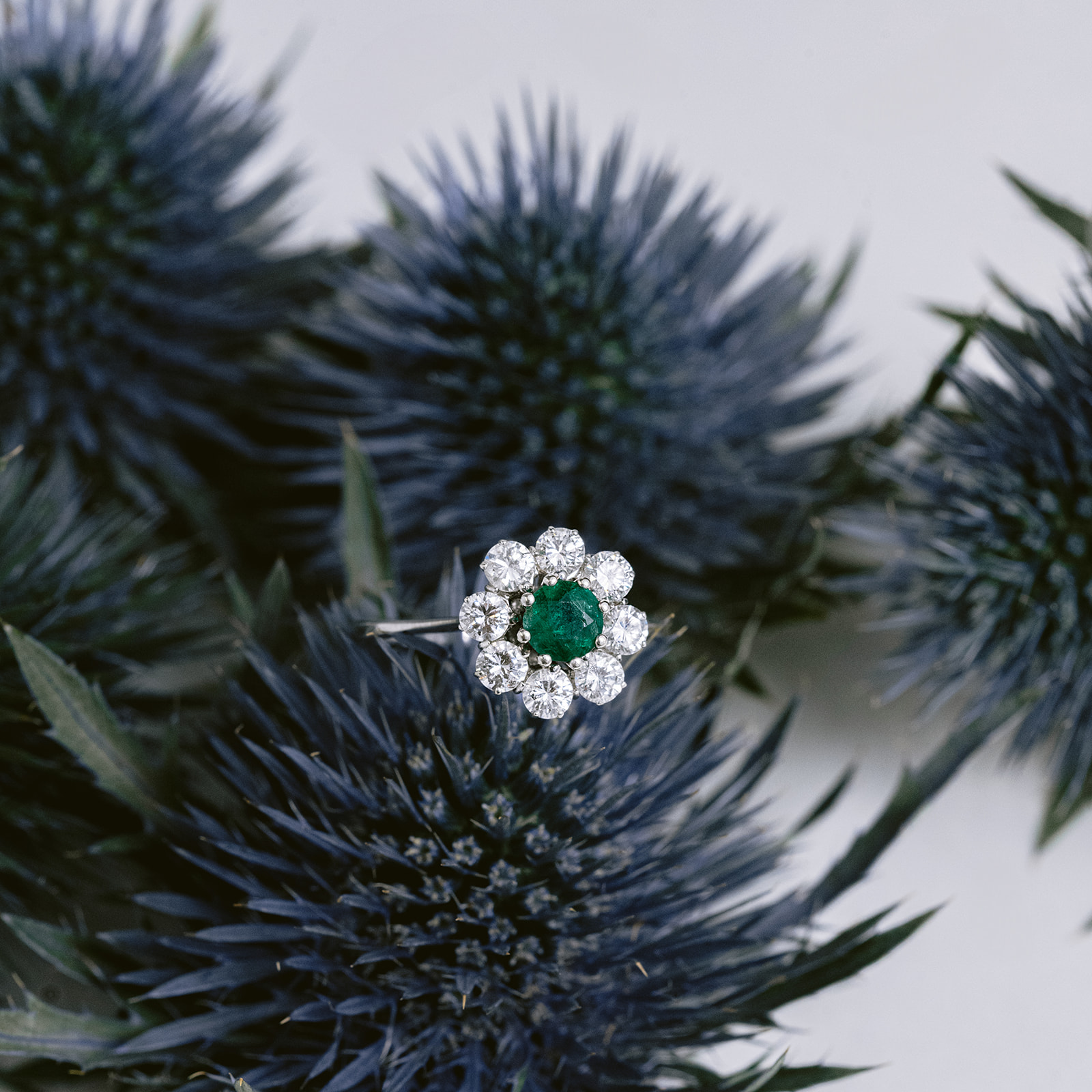 SELECCION MARZO GO ANTIQUES