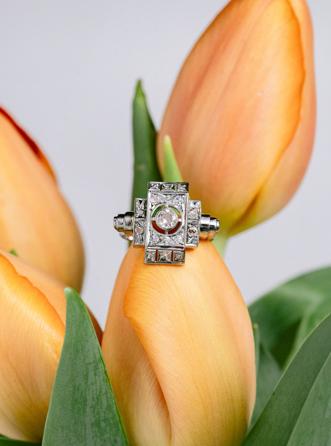 IFA_3135_websize (3)_edited