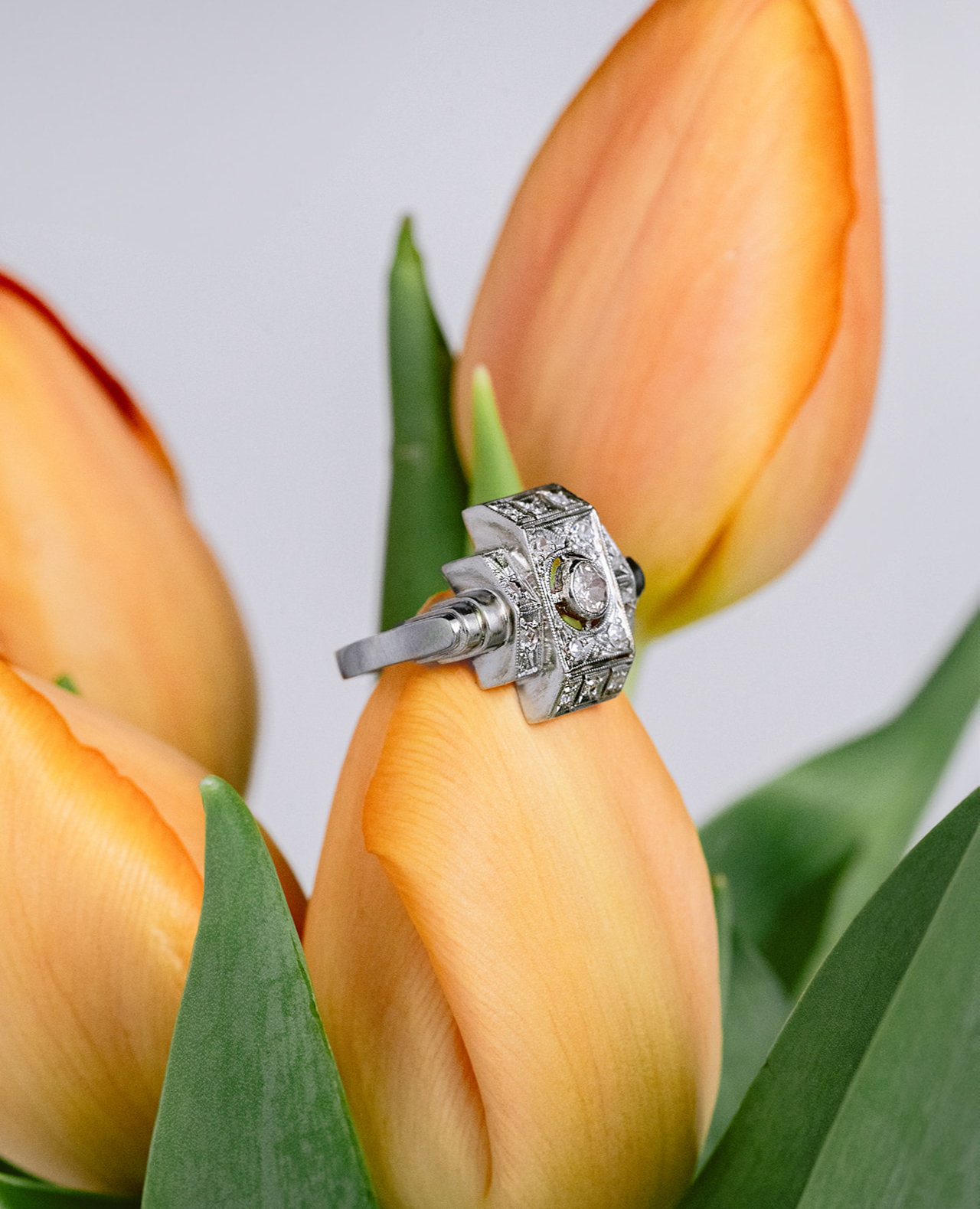 IFA_3147_websize (4)_edited