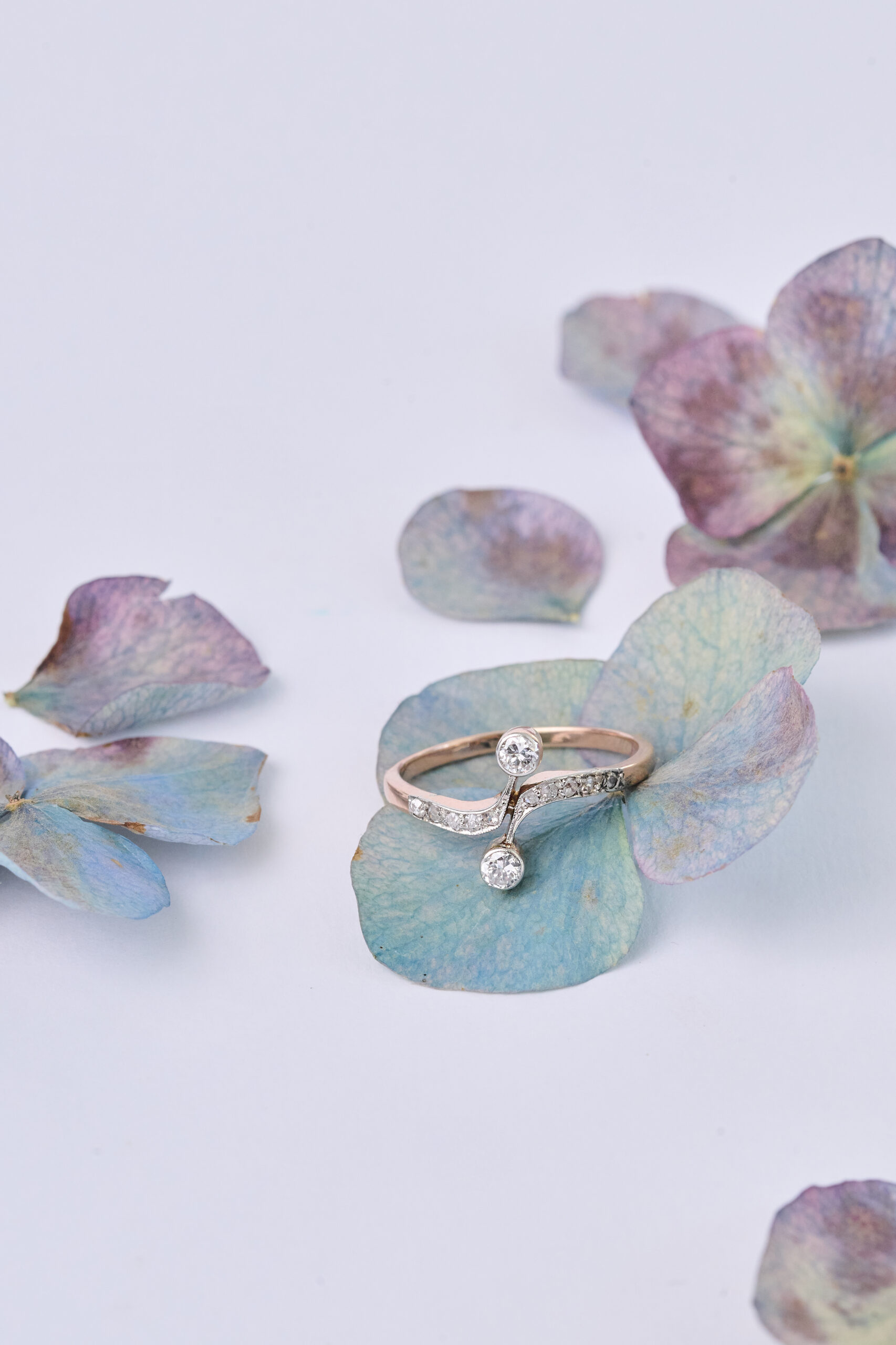 SELE GO ANTIQUES OCTUBRE