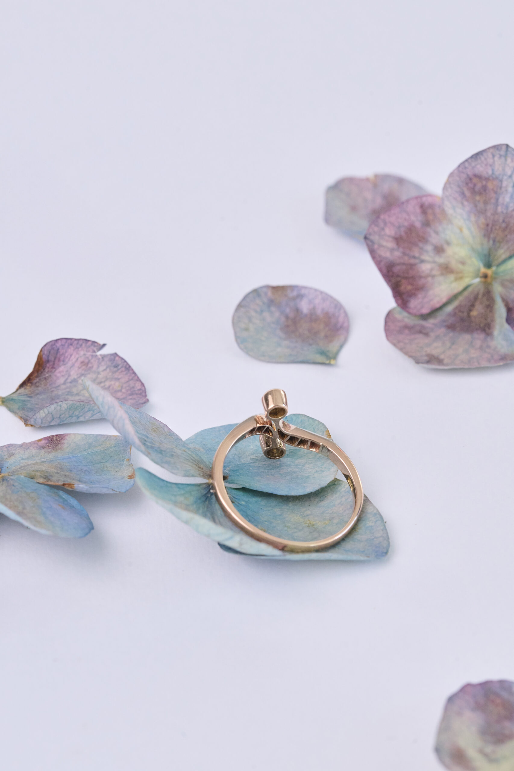 SELE GO ANTIQUES OCTUBRE